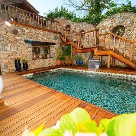 Levissi Otantic Stone In Villa *