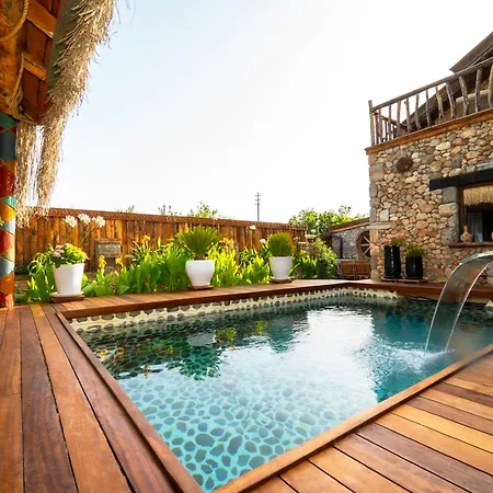 Levissi Otantic Stone In Villa *