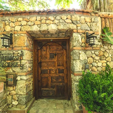 Levissi Otantic Stone In Villa *